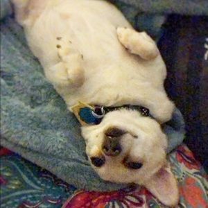 Meet your Posher, Macy